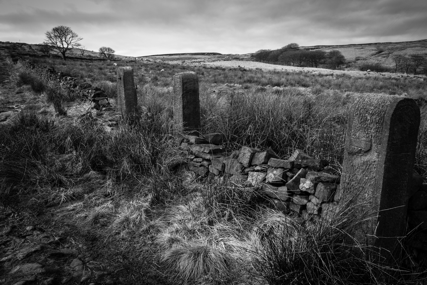 Gate Stones