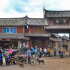 Gate to Naxi village Baisha