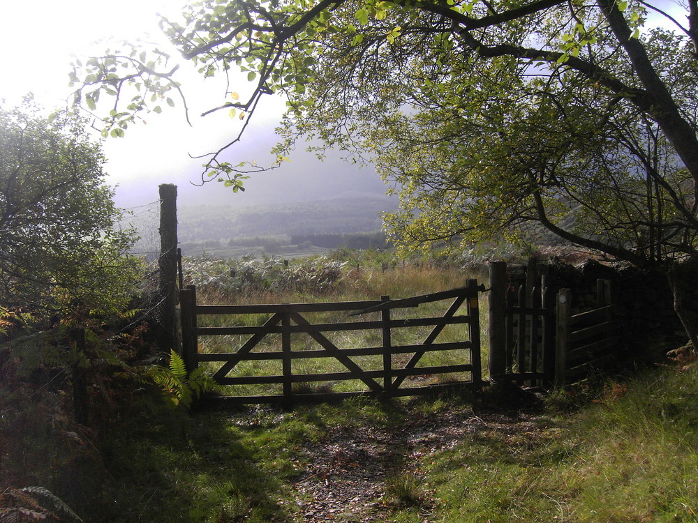 Gate with a view