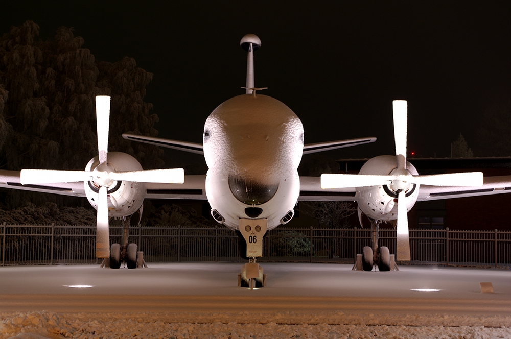 Gateguard im Schnee