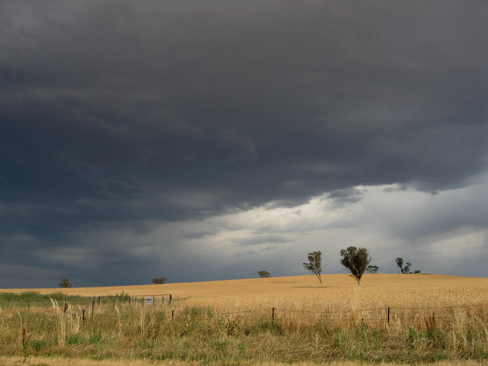 Gathering Storm