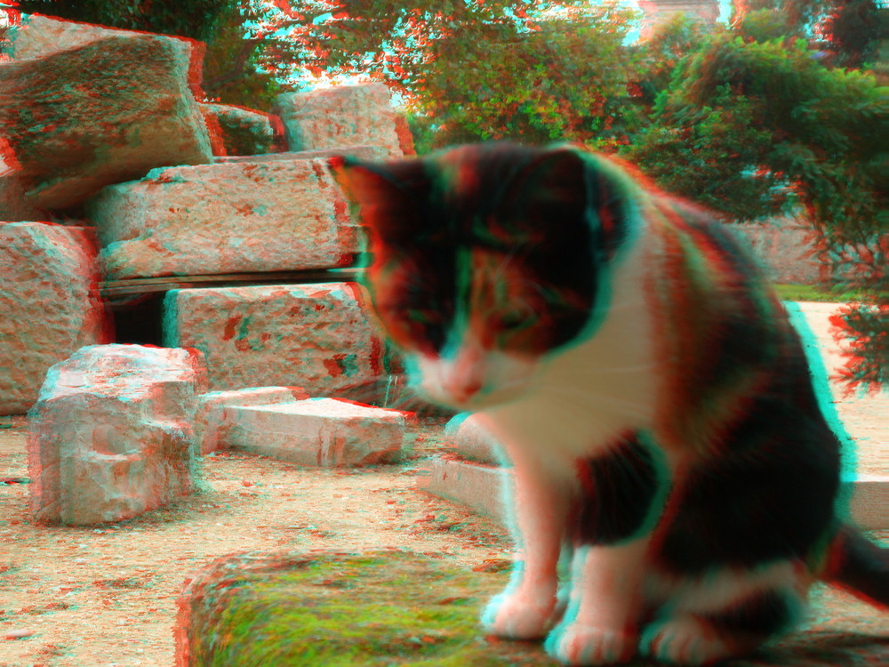 Gato y rocas (3D)