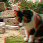 Gato y rocas (3D)