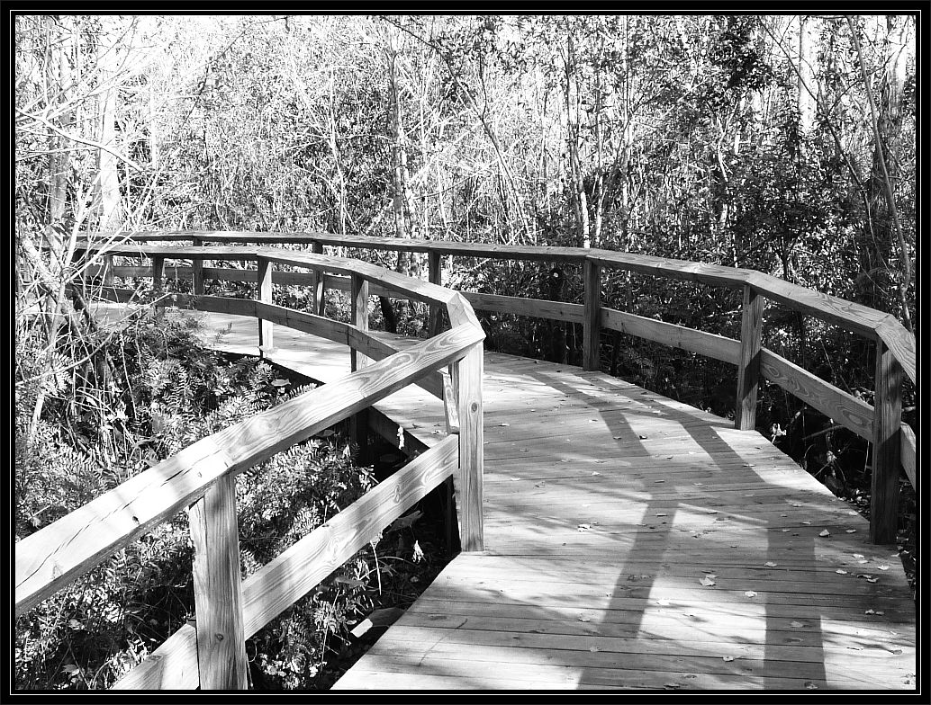 Gatorland Orlando