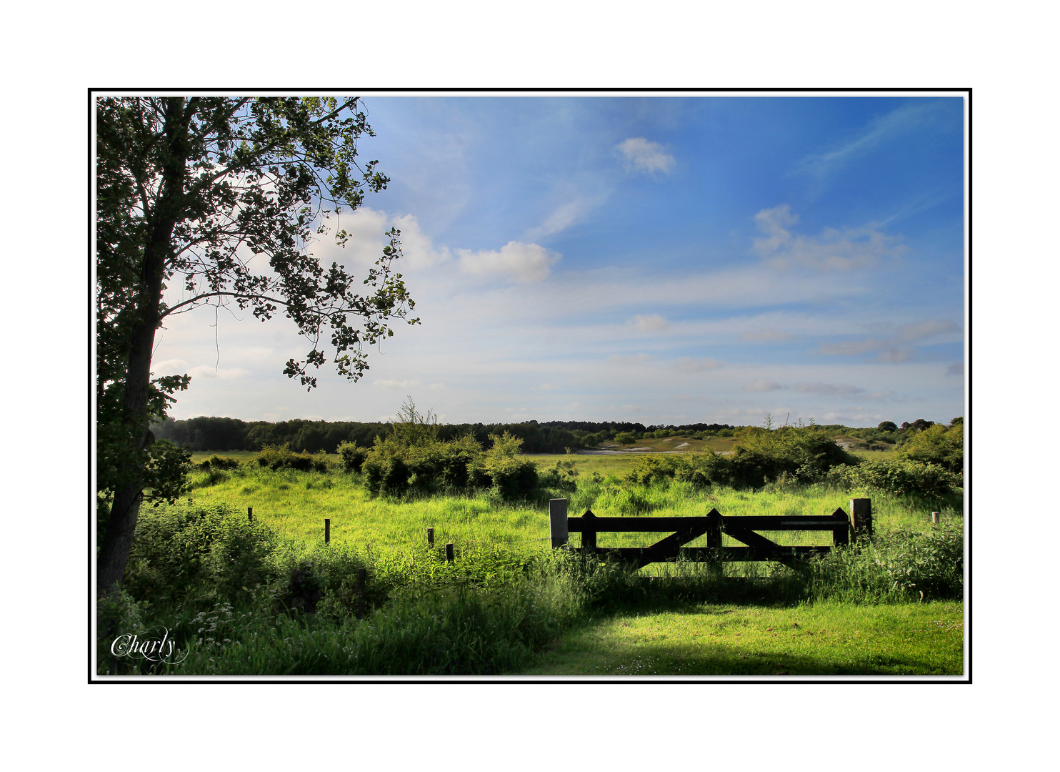gatter.............. Foto & Bild landschaft, zäune, bänke, wegweiser
