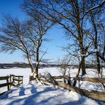 Gatter im Schnee