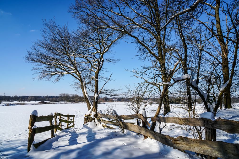 Gatter im Schnee