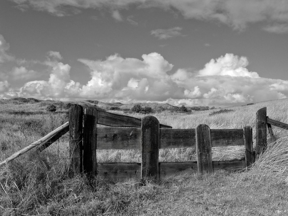 Gatter vor Dünen und Wolken, Ameland 2005