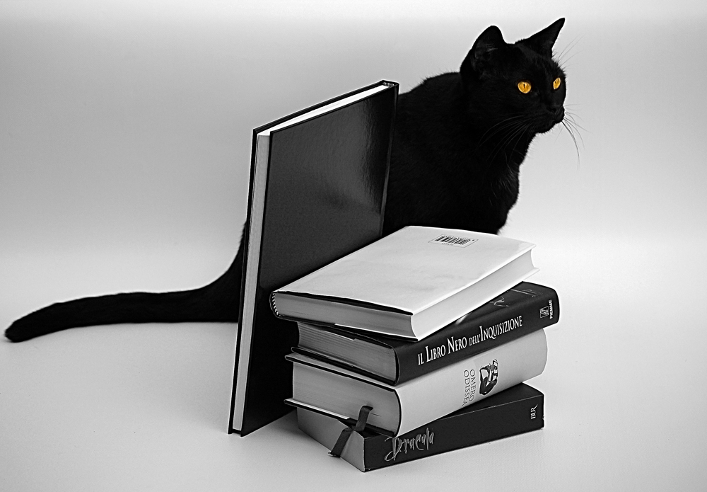 gatti e libri neri