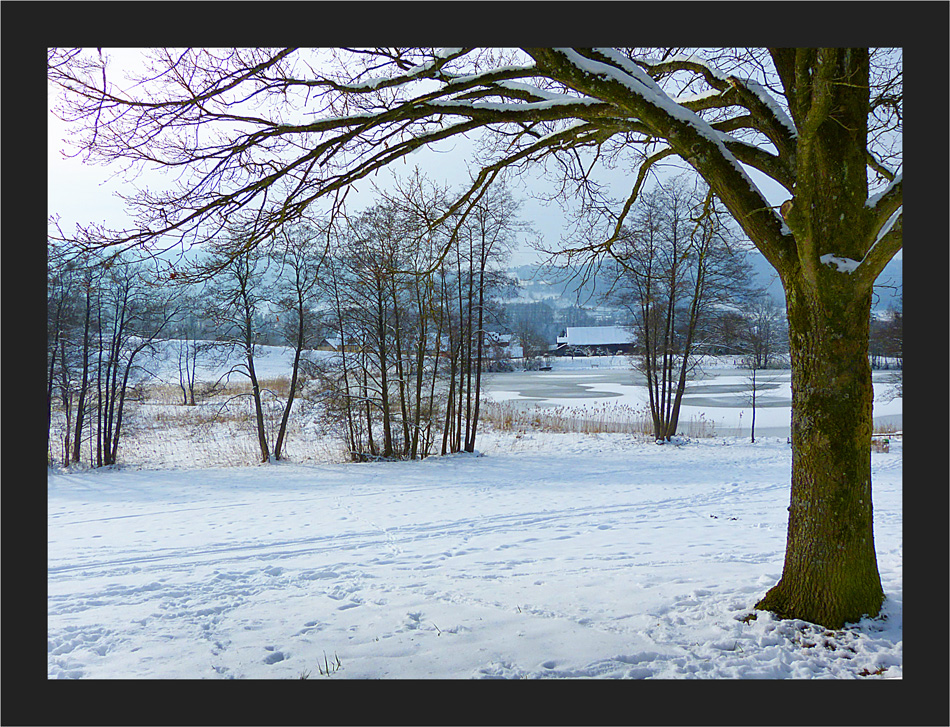 Gattiker Weiher