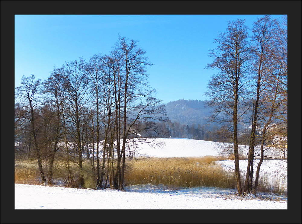 Gattiker Weiher