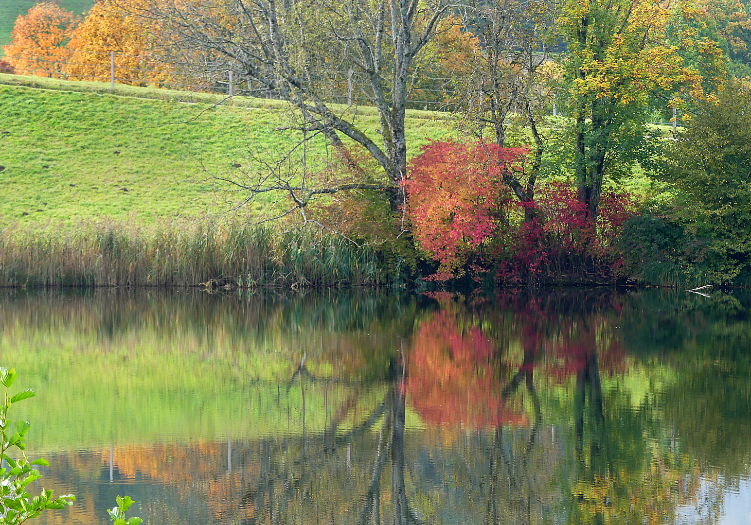 Gattikerweiher