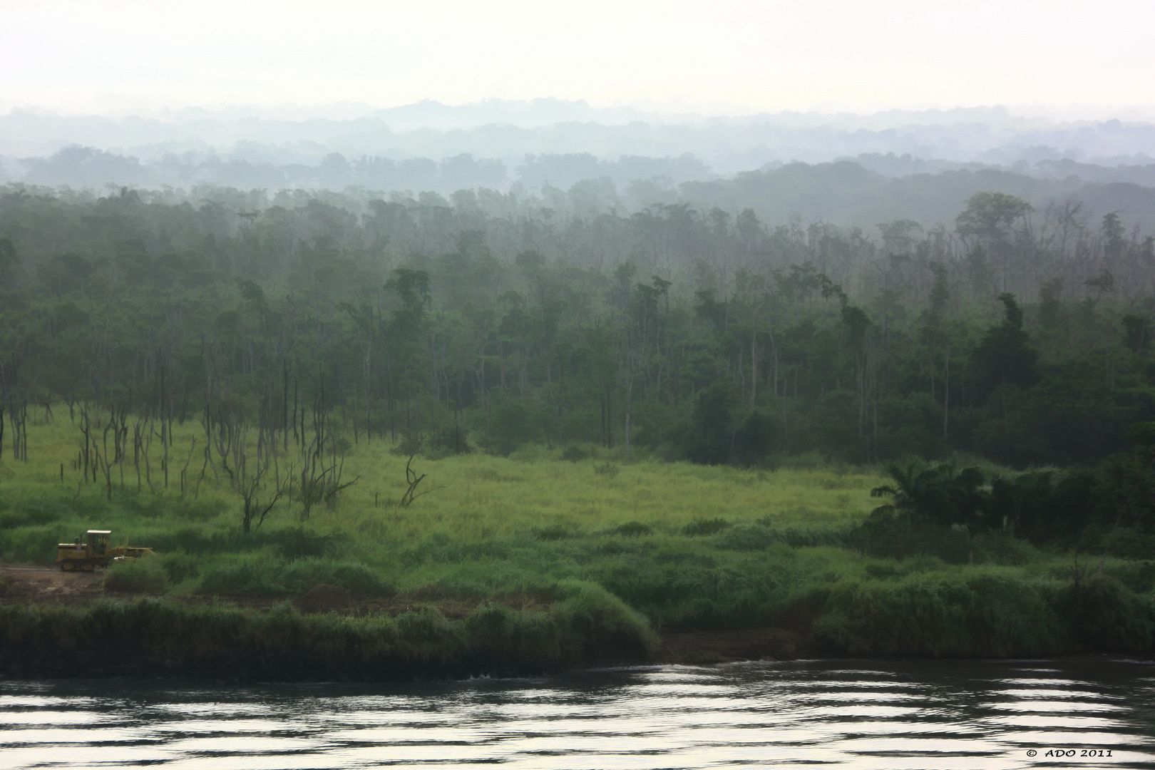 Gatun Lake Shores