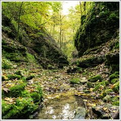 Gauchachschlucht-2024-001
