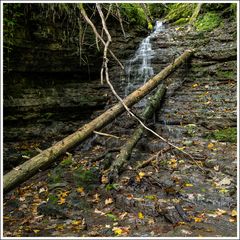 Gauchachschlucht-2024-002