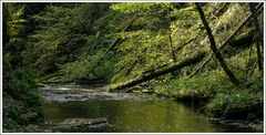 Gauchachschlucht-2024-003