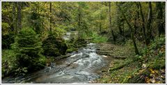 Gauchachschlucht-2024-004