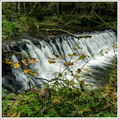 Gauchachschlucht-2024-006