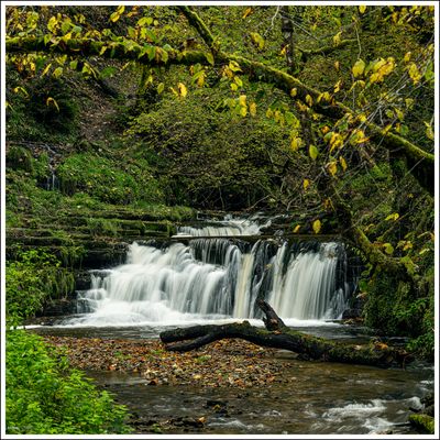 Gauchachschlucht-2024-007