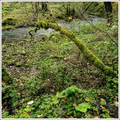 Gauchachschlucht-2024-010