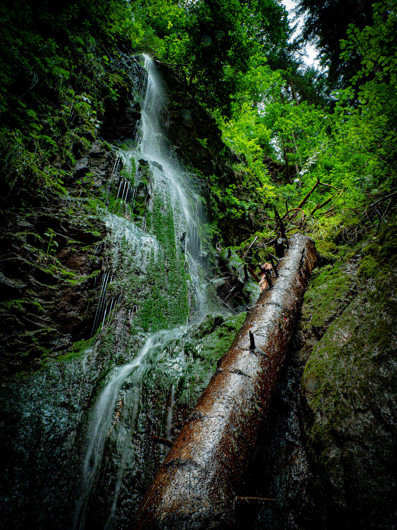 Gauchachschlucht