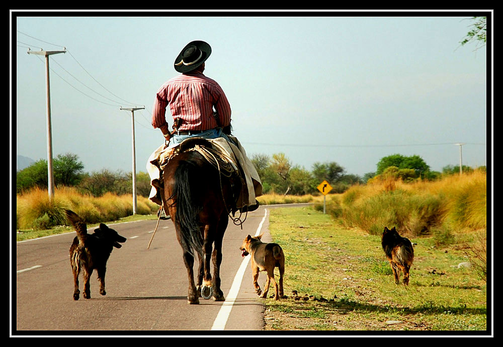 Gaucho...