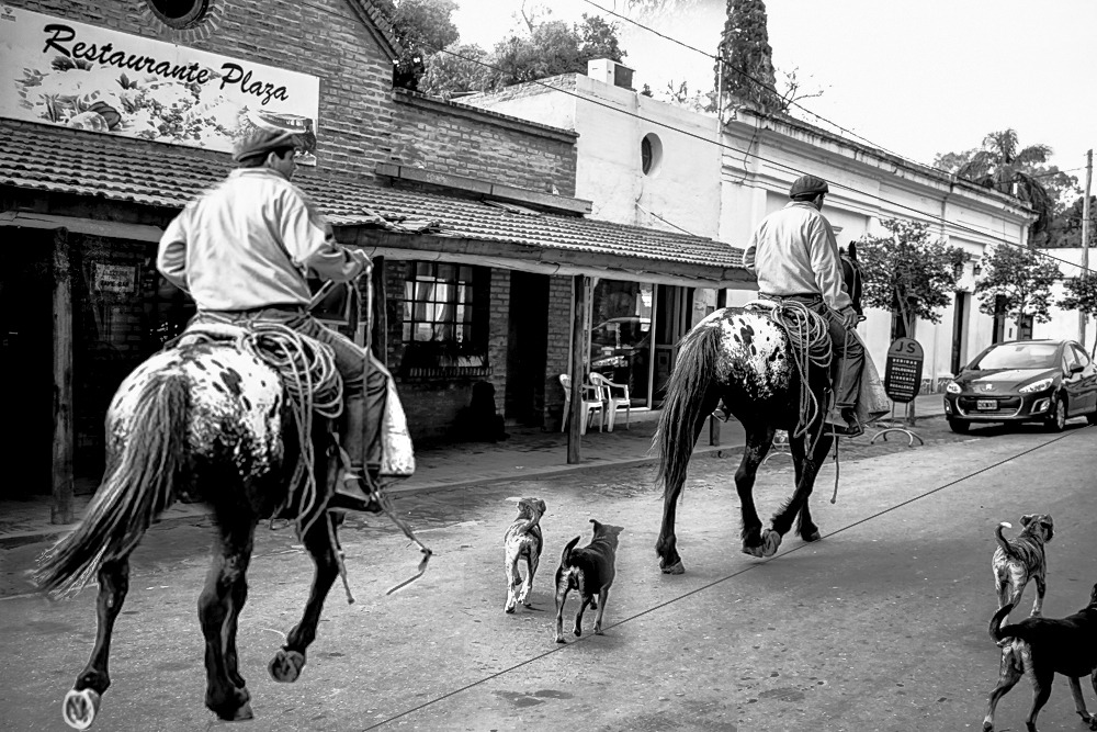 Gaucho al galope