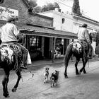 Gaucho al galope