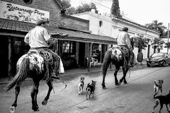 Gaucho al galope