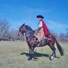 gaucho Argentina