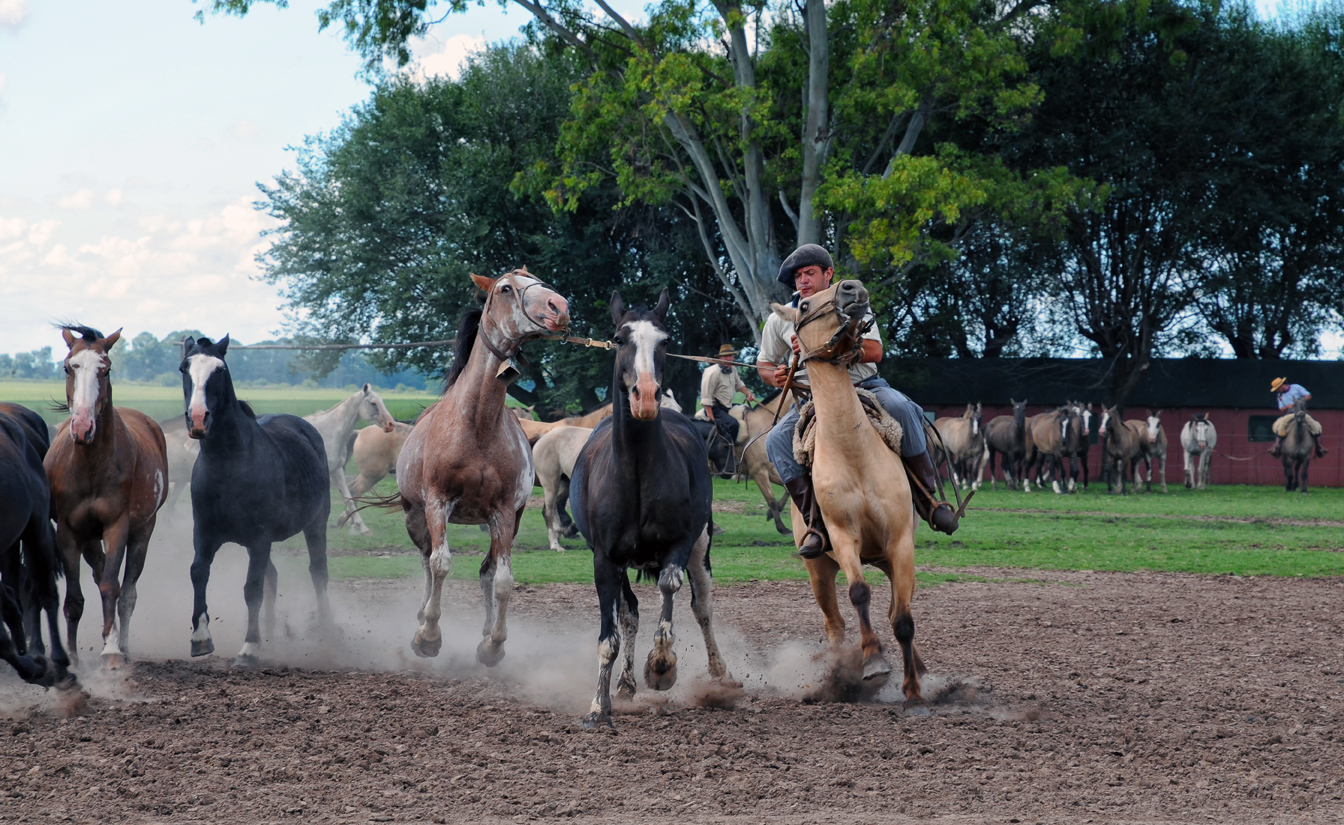 Gaucho Argentina 