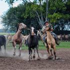 Gaucho Argentina 