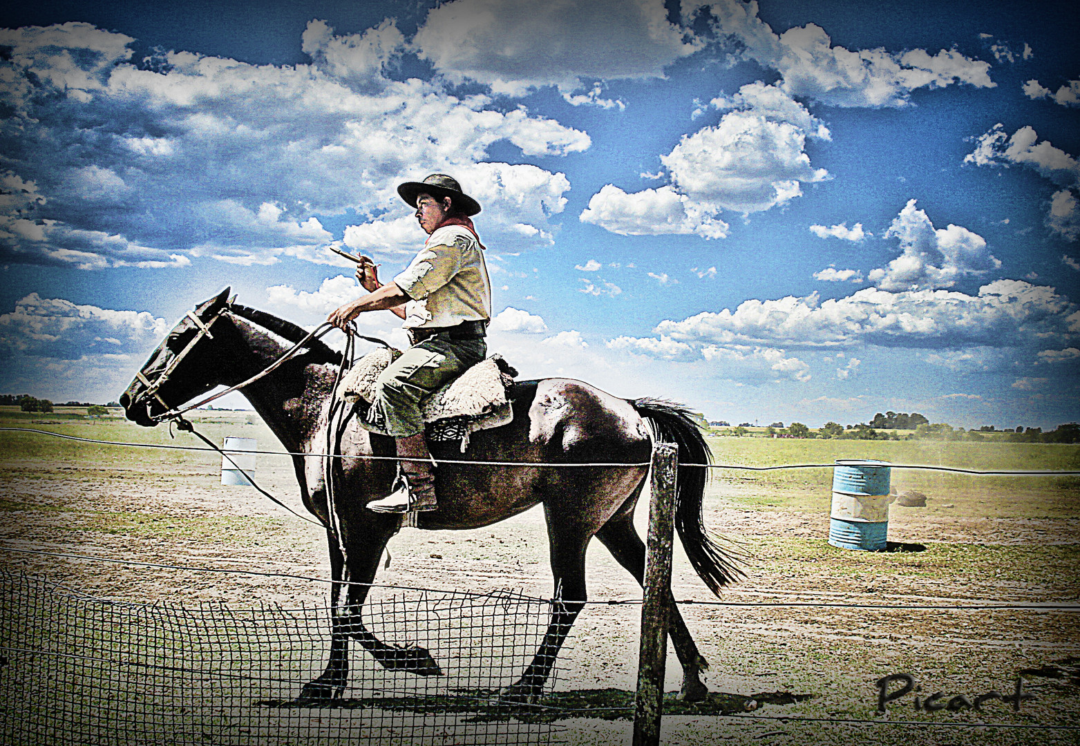 Gaucho Argentino