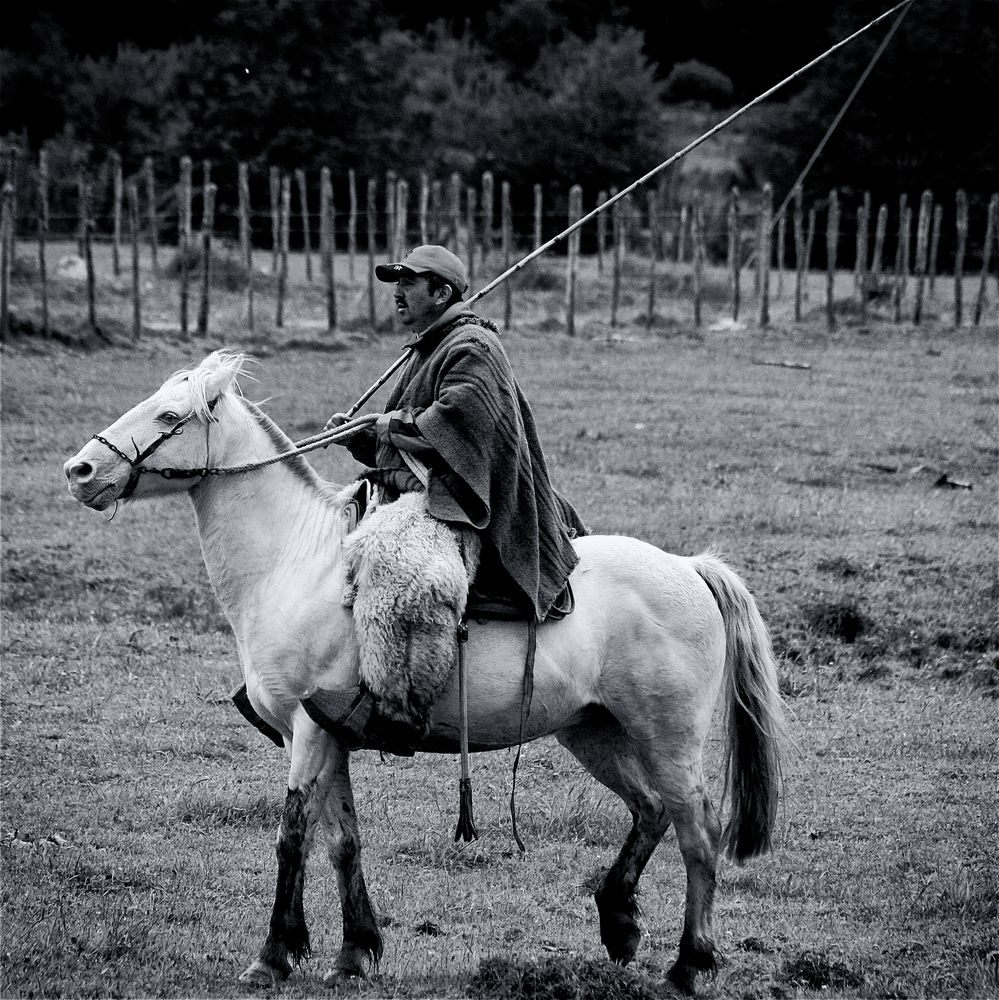 gaucho von davidr 