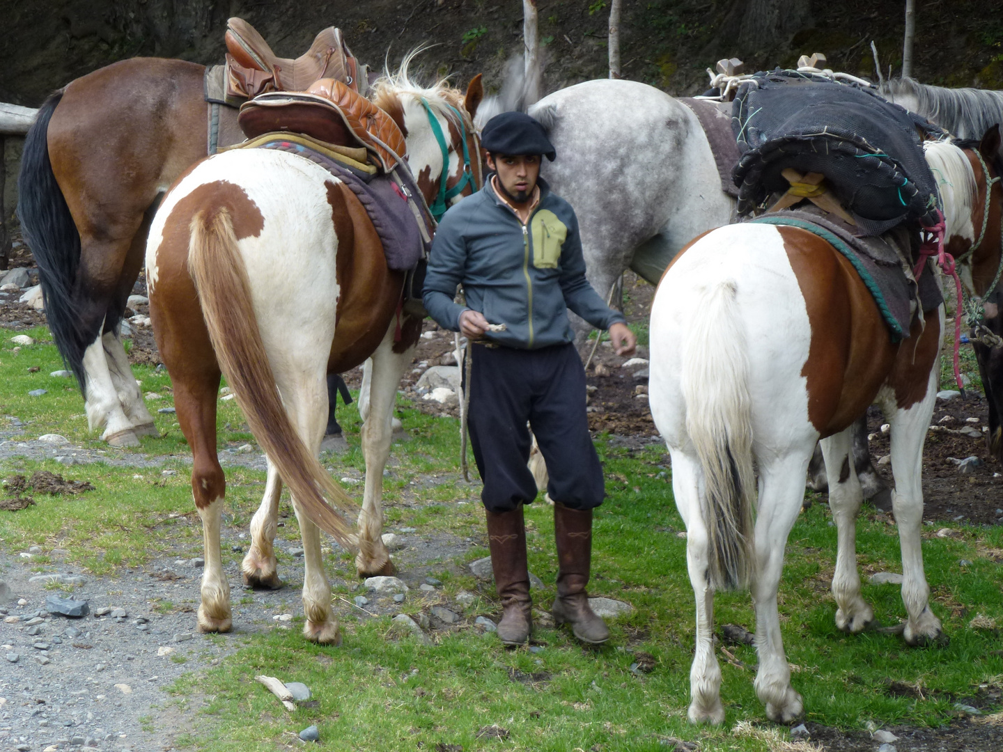 Gaucho beim Vorbereiten eines Treck's