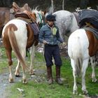 Gaucho beim Vorbereiten eines Treck's