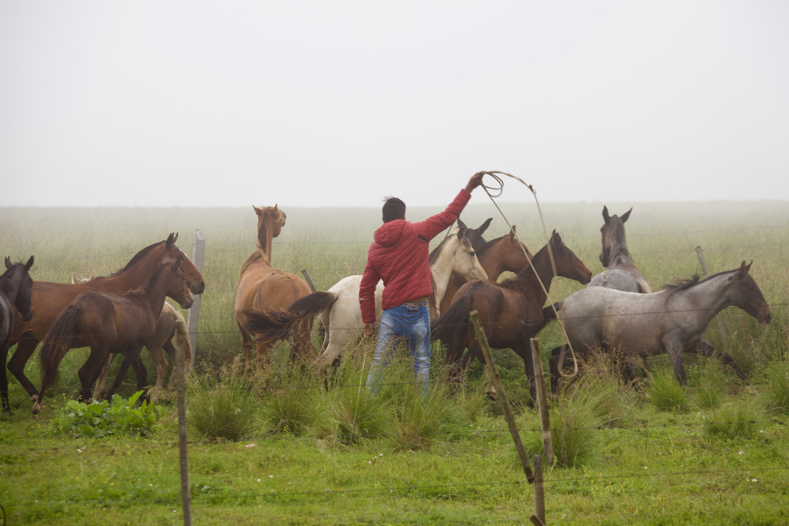 gaucho con caballo (I)