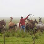 gaucho con caballo (I)