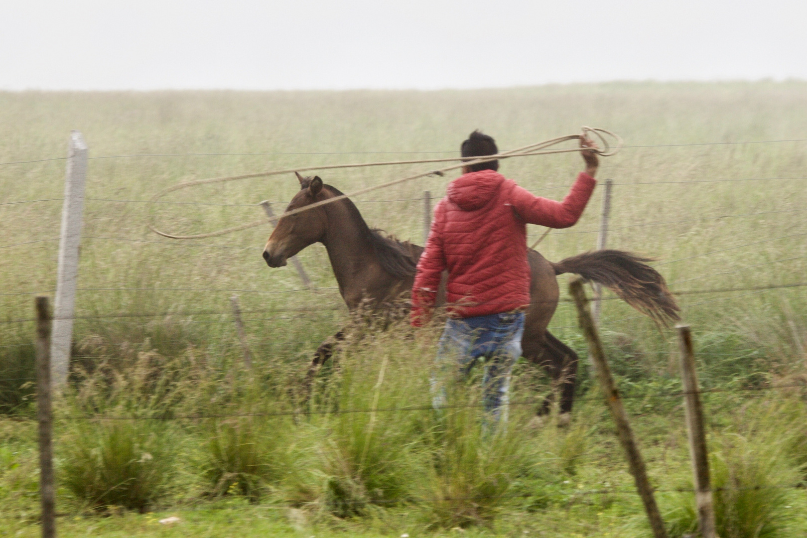 gaucho con caballo (II)