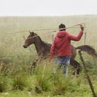 gaucho con caballo (II)