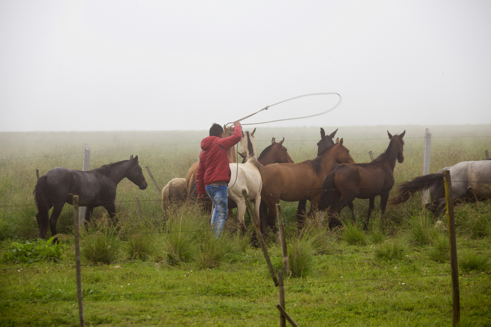 gaucho con caballo (III)