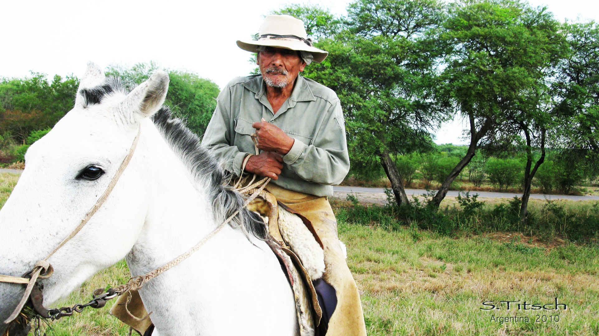 Gaucho