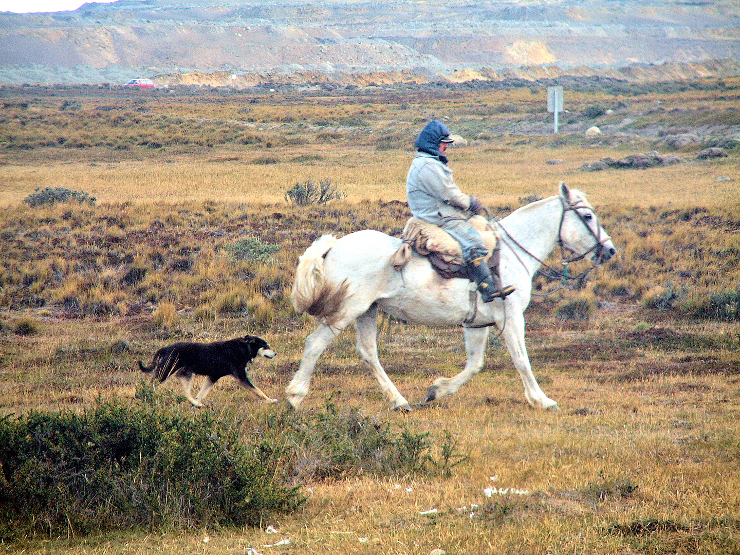 Gaucho in Patagonien