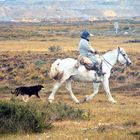 Gaucho in Patagonien