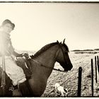 Gaucho in Uruguay