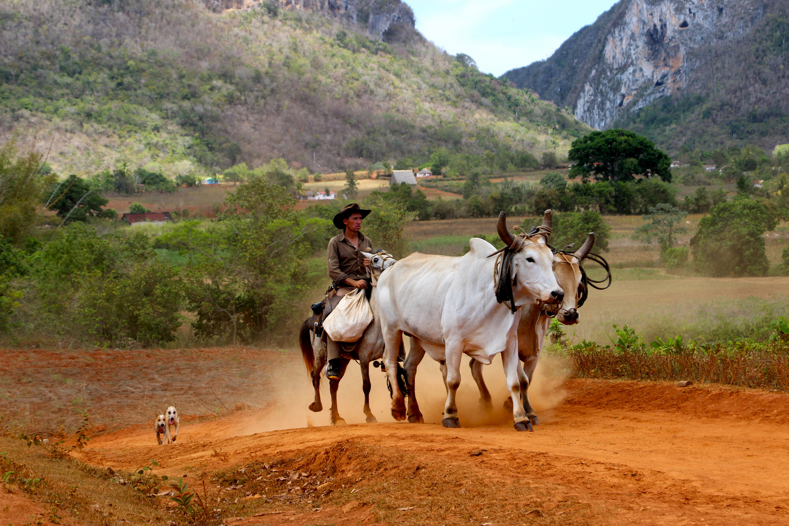 Gaucho in Valle de Viñales