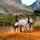 Gaucho in Valle de Viñales