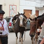 Gauchos au repos