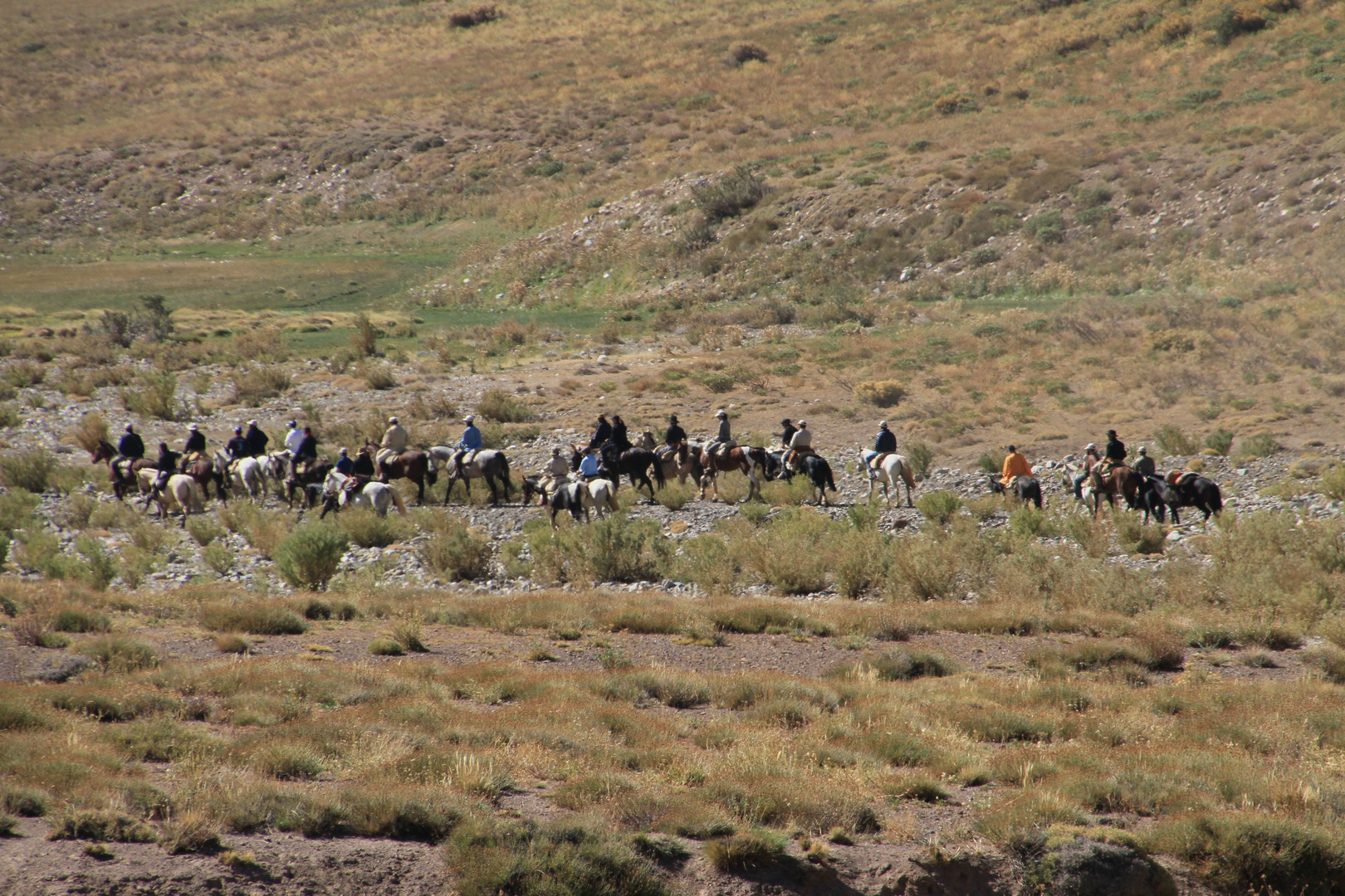 Gauchos auf dem Weg (Valle Hermosa/Provinz Mendoza/Argentinien)