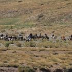 Gauchos auf dem Weg (Valle Hermosa/Provinz Mendoza/Argentinien)